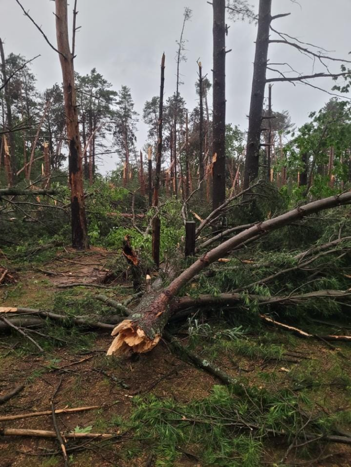 Summary of the June 15, 2022 Severe Weather Event